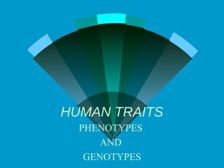 HUMAN TRAITS
PHENOTYPES
AND
GENOTYPES

 