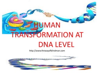 HUMAN
TRANSFORMATION AT
DNA LEVEL
http://www.thewayofblindman.com
 