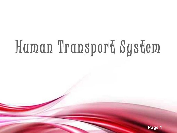 Human Transport System