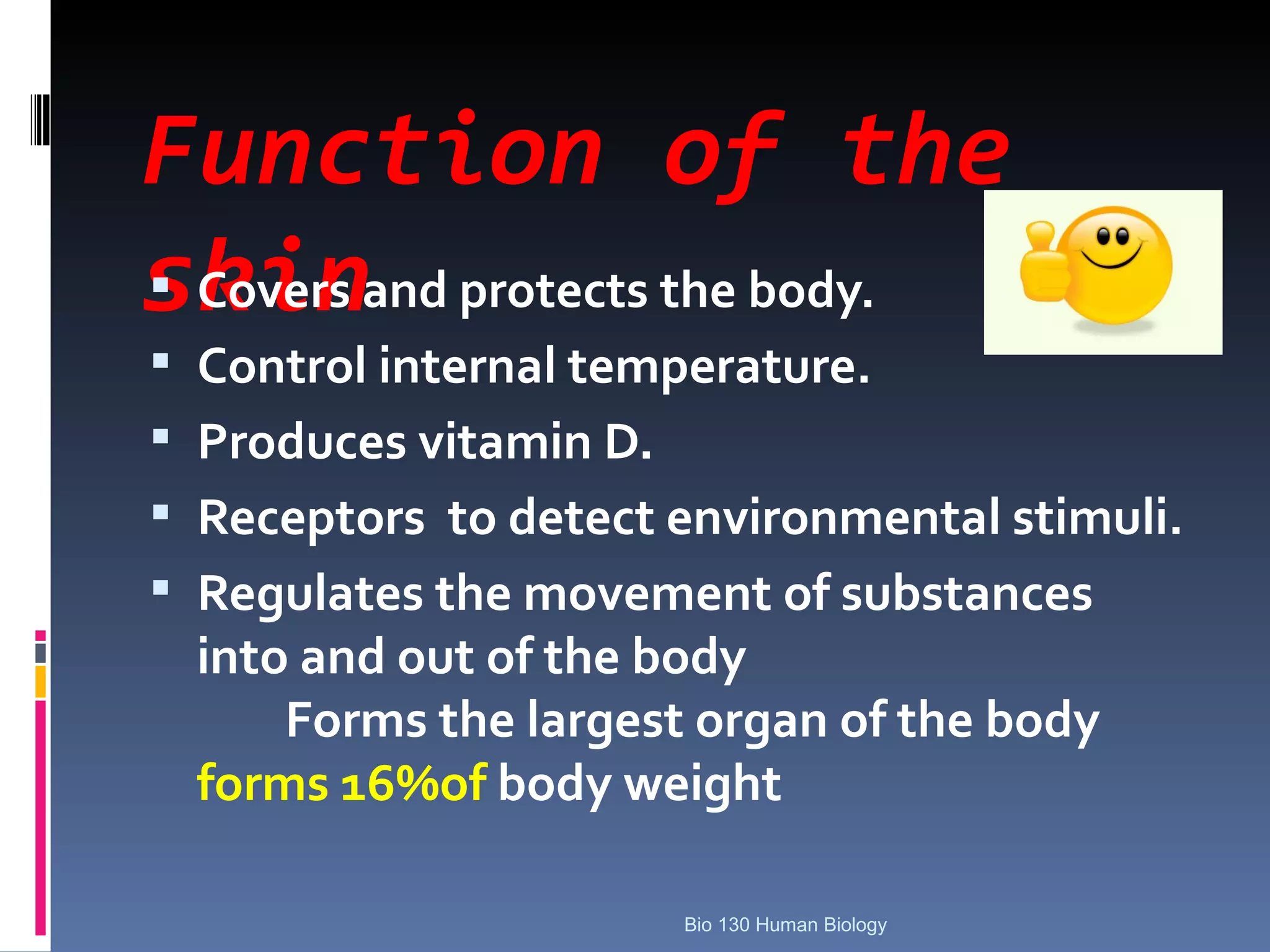 Function of the
skinand protects the body.
 Covers
 Control internal temperature.
 Produces vitamin D.
 Receptors to detect environmental stimuli.
 Regulates the movement of substances
  into and out of the body
      Forms the largest organ of the body
  forms 16%of body weight

                       Bio 130 Human Biology
 