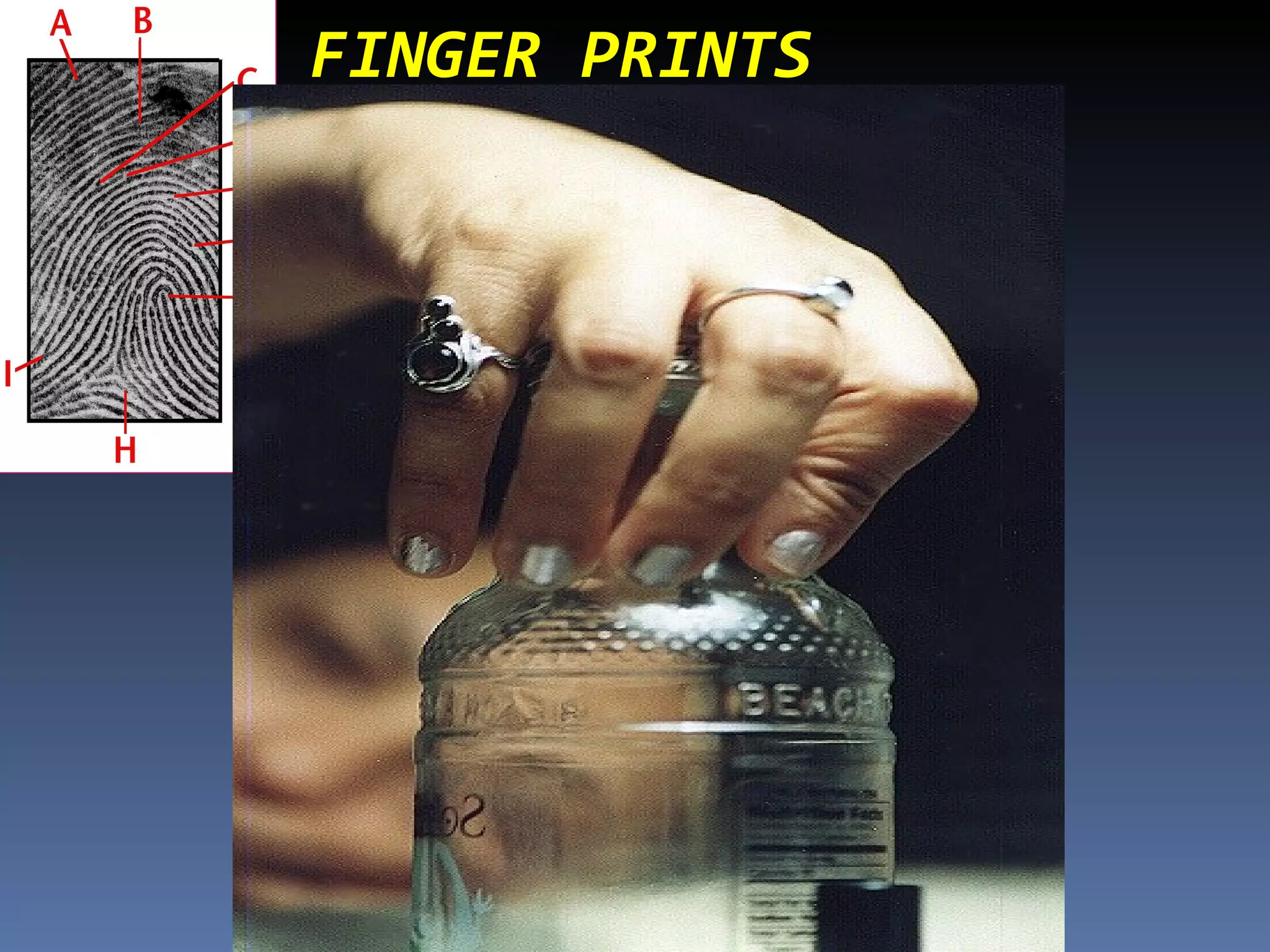 FINGER PRINTS
 
