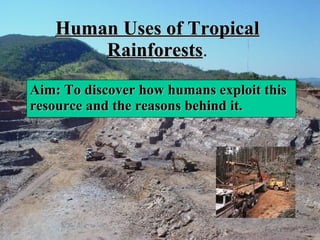 Human Uses of Tropical Rainforests . Aim: To discover how humans exploit this resource and the reasons behind it. 