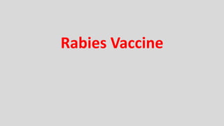Rabies Vaccine
 