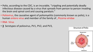 • Polio, according to the CDC, is an incurable, "crippling and potentially deadly
infectious disease caused by a virus that spreads from person to person invading
the brain and spinal cord and causing paralysis."
• Poliovirus, the causative agent of poliomyelitis (commonly known as polio), is a
human entero virus and member of the family of , Picorna viridae
• RNA Virus
• 3 Serotypes of poliovirus, PV1, PV2, and PV3,
 