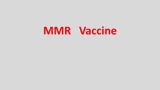 MMR Vaccine
 