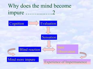 Why does the mind become
impure ……......….2
Cognition

Evaluation

Sensation

Blind reaction
Mind more impure

Bare
Observation
Experience of Impermanence

 