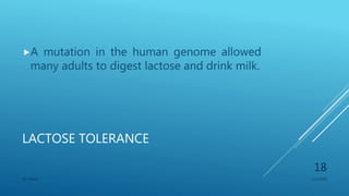 LACTOSE TOLERANCE
A mutation in the human genome allowed
many adults to digest lactose and drink milk.
1/1/2020SG OBAJE
18
 