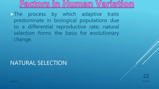 NATURAL SELECTION
The process by which adaptive traits
predominate in biological populations due
to a differential reproductive rate; natural
selection forms the basis for evolutionary
change.
1/1/2020SG OBAJE
22
 