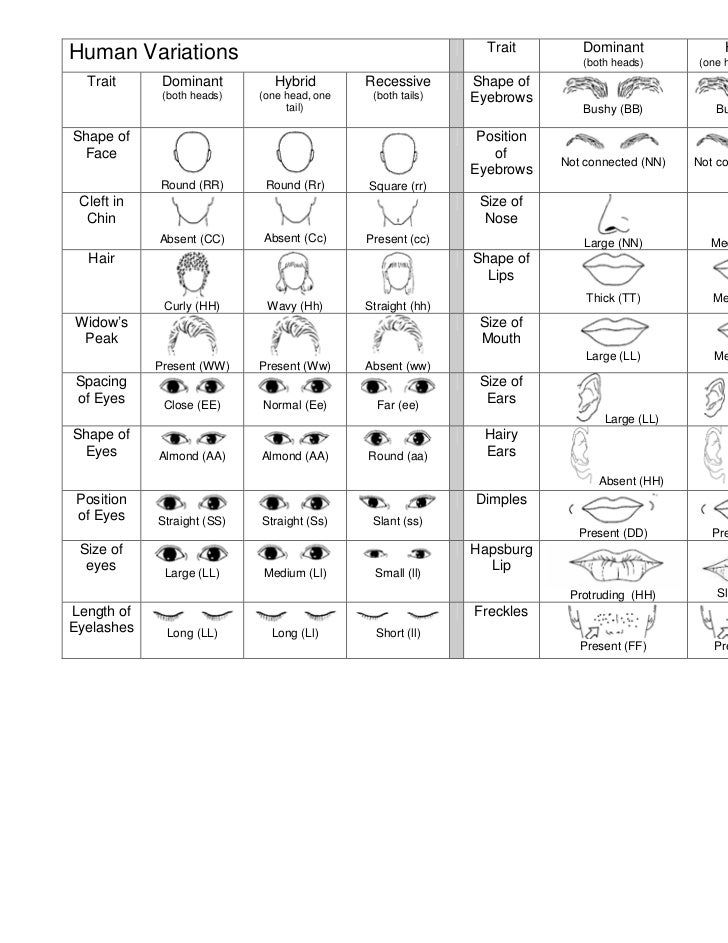 Human variation lab
