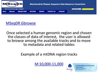 MSeqDR Gbrowse
Once selected a human genomic region and chosen
the classes of data of interest, the user is allowed
to browse among the available tracks and to move
to metadata and related tables
Example of a mtDNA region tracks
M:10,000-11,000
 