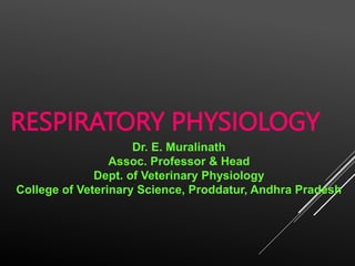 RESPIRATORY PHYSIOLOGY
Dr. E. Muralinath
Assoc. Professor & Head
Dept. of Veterinary Physiology
College of Veterinary Science, Proddatur, Andhra Pradesh
 