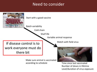 Human and veterinary approaches to vaccination monitoring: What can foot-and-mouth disease learn from measles?