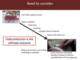 Human and veterinary approaches to vaccination monitoring: What can foot-and-mouth disease learn from measles?