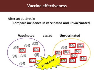 Human and veterinary approaches to vaccination monitoring: What can foot-and-mouth disease learn from measles?