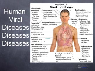 Human
  Viral
Diseases
Diseases   Picture 2. Viral infections
           (source: Wikimedia)




Diseases


                                         Picture 2. Viral infections
                                         (source: Wikimedia)
 