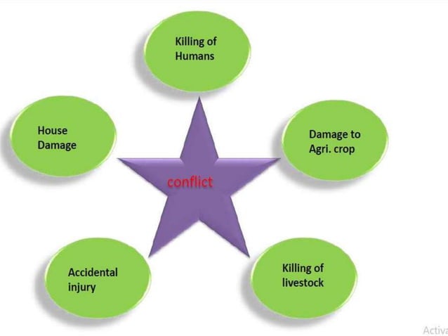 HUMAN WILDLIFE CONFLICT.....------.........pptx