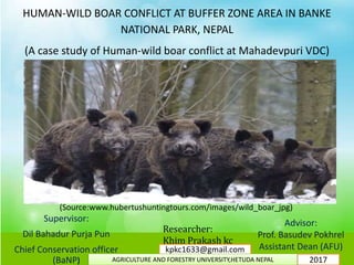 HUMAN-WILD BOAR CONFLICT AT BUFFER ZONE AREA IN BANKE
NATIONAL PARK, NEPAL
(A case study of Human-wild boar conflict at Mahadevpuri VDC)
Supervisor:
Dil Bahadur Purja Pun
Chief Conservation officer
(BaNP)
Advisor:
Prof. Basudev Pokhrel
Assistant Dean (AFU)
Researcher:
Khim Prakash kc
(Source:www.hubertushuntingtours.com/images/wild_boar_jpg)
2017
kpkc1633@gmail.com
AGRICULTURE AND FORESTRY UNIVERSITY,HETUDA NEPAL
 