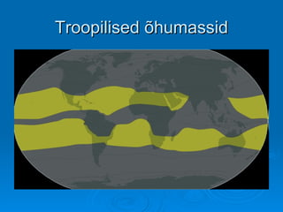 Troopilised õhumassid 
