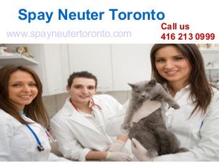 Spay Neuter Toronto
www.spayneutertoronto.com
Call us
416 213 0999
 