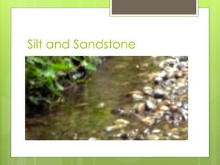 Silt and Sandstone
 