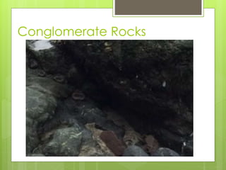 Conglomerate Rocks
 