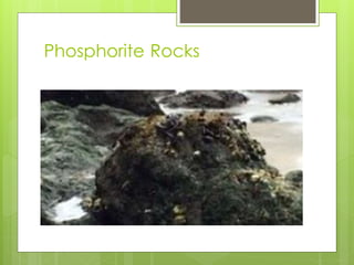 Phosphorite Rocks
 