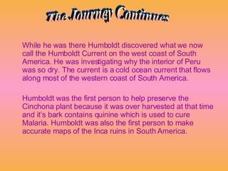 While he was there Humboldt discovered what we now call the Humboldt Current on the west coast of South America. He was investigating why the interior of Peru was so dry. The current is a cold ocean current that flows along most of the western coast of South America.  Humboldt was the first person to help preserve the Cinchona plant because it was over harvested at that time and it’s bark contains quinine which is used to cure Malaria. Humboldt was also the first person to make accurate maps of the Inca ruins in South America. The Journey Continues 