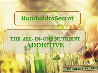 HumboltdsSecret