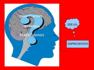 IMAGINACIÓN

               IDEAS
  MEMORIA

PERCEPCIONES

               IMPRESIONES
 