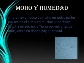 Moho y humedadSiempre hay un poco de moho en todas partes (ya sea en el aire y en muchas superficies). Este ha estado en la Tierra por millones de años, crece en donde hay humedad.. 