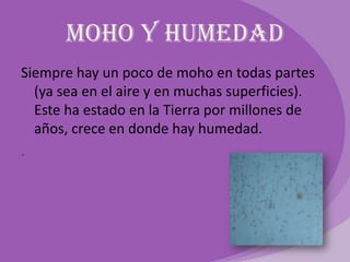 Moho y humedad
Siempre hay un poco de moho en todas partes
  (ya sea en el aire y en muchas superficies).
  Este ha estado en la Tierra por millones de
  años, crece en donde hay humedad.
.
 
