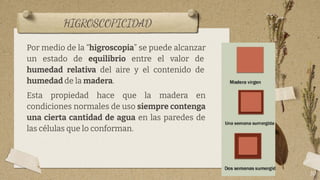 HIGROSCOPICIDAD
10
Por medio de la “higroscopia” se puede alcanzar
un estado de equilibrio entre el valor de
humedad relativa del aire y el contenido de
humedad de la madera.
Esta propiedad hace que la madera en
condiciones normales de uso siempre contenga
una cierta cantidad de agua en las paredes de
las células que lo conforman.
 