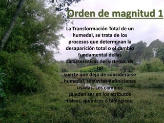 Orden de magnitud 1
La Transformación Total de un
humedal, se trata de los
procesos que determinan la
desaparición total o el cambio
fundamental de las
características del sistema, de
tal
suerte que deja de considerarse
humedal, según las definiciones
usadas. Los cambios
pueden ser en los atributos
físicos, químicos o biológicos.
 