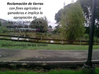 Reclamación de tierras
con fines agrícolas o
ganaderos e implica la
apropiación de
espacios públicos y la
expedición de títulos de
propiedad, previa alteración
de los
niveles de agua o
desplazamiento de los límites.
 