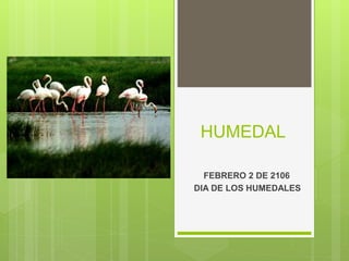 HUMEDAL
FEBRERO 2 DE 2106
DIA DE LOS HUMEDALES
 