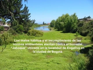 Los malos hábitos y el incumplimiento de las
 normas ambientales atentan contra el humedal
“Jaboque” ubicado en la localidad de Engativa en
             la ciudad de Bogotá
 