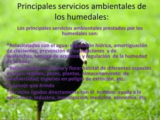Principales servicios ambientales de los humedales: Los principales servicios ambientales prestados por los humedales son:*Relacionados con el agua: regulación hídrica, amortiguación de crecientes, prevención de inundaciones  y de avalanchas, recarga de acuíferos y regulación  de la humedad de la zona*Relacionados con fauna y flora: hábitat de diferentes especies de aves, reptiles, peces, plantas, almacenamiento  de biodiversidad, especies en peligro de extinción, etc.El paisaje que brinda*Servicios ligados directamente con el  hombre: ayuda a la agricultura, industria, investigación, medicina, economía, etc.
