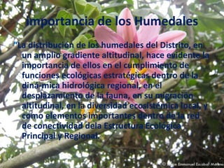importancia de los Humedales“La distribución de los humedales del Distrito, en un amplio gradiente altitudinal, hace evidente la importancia de ellos en el cumplimiento de funciones ecológicas estratégicas dentro de la diná-mica hidrológica regional, en el desplazamiento de la fauna, en su migración altitudinal, en la diversidad ecosistémica local, y como elementos importantes dentro de la red de conectividad dela Estructura Ecológica Principal y Regional.