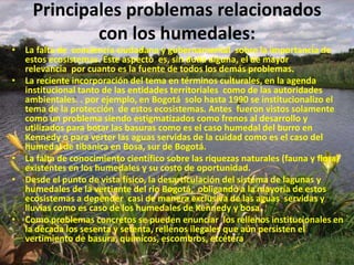 Principales problemas relacionados con los humedales:La falta de  conciencia ciudadana y gubernamental  sobre la importancia de estos ecosistemas. Este aspecto  es, sin duda alguna, el de mayor relevancia  por cuanto es la fuente de todos los demás problemas.La reciente incorporación del tema en términos culturales, en la agenda institucional tanto de las entidades territoriales  como de las autoridades ambientales. . por ejemplo, en Bogotá  solo hasta 1990 se institucionalizo el tema de la protección  de estos ecosistemas. Antes  fueron vistos solamente como un problema siendo estigmatizados como frenos al desarrollo y utilizados para botar las basuras como es el caso humedal del burro en Kennedy o para verter las aguas servidas de la cuidad como es el caso del humedal de tibanica en Bosa, sur de Bogotá.La falta de conocimiento científico sobre las riquezas naturales (fauna y flora) existentes en los humedales y su costo de oportunidad.Desde el punto de vista físico, la desarticulación del sistema de lagunas y humedales de la vertiente del rio Bogotá,  obligando a la mayoría de estos ecosistemas a depender  casi de manera exclusiva de las aguas  servidas y lluvias como es caso de los humedales de Kennedy y bosa.Como problemas concretos se pueden enunciar  los rellenos institucionales en la década los sesenta y setenta, rellenos ilegales que aún persisten el vertimiento de basura, químicos, escombros, etcétera  