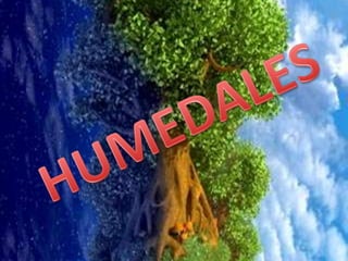 HUMEDALES 