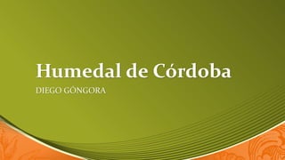 Humedal de Córdoba
DIEGO GÓNGORA
 