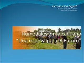 Hernán Pino Seguel Presidente Comisión de Medio Ambiente Concejo Municipal de Talcahuano 