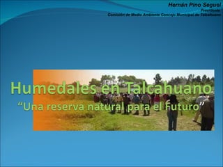 Hernán Pino Seguel Presidente  Comisión de Medio Ambiente Concejo Municipal de Talcahuano 