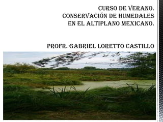 Curso de Verano.Conservación de Humedalesen el Altiplano Mexicano.Profr. Gabriel Loretto Castillo 