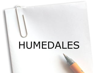 HUMEDALES
 