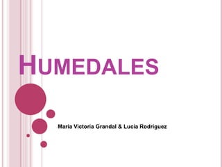 HUMEDALES
María Victoria Grandal & Lucía Rodríguez
 