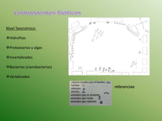 Nivel Taxonómico: 
Hidrofitas 
Protozoarios y algas 
Invertebrados 
Bacterias (cianobacterias) 
Vertebrados 
referencias 
 