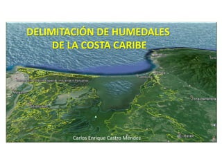 DELIMITACIÓN DE HUMEDALES
DE LA COSTA CARIBE
Carlos Enrique Castro Méndez
 