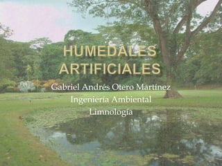 Gabriel Andrés Otero Martínez
    Ingeniería Ambiental
         Limnología
 