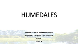 HUMEDALES
Michael Esteban Rivera Marroquín
Ingeniería Geográfica y Ambiental
2017 – I
U.D.C.A.
 